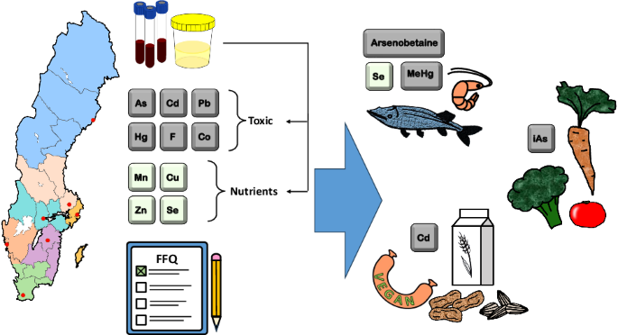 is glutathione safe for toddlers Identifying dietary sources and patterns of exposure to toxic metals and other trace elements in Swedish and young children Dihexa Peptide Therapy Boynton