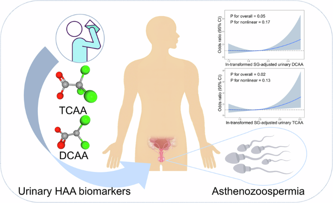 Urinary haloacetic acid concentrations and asthenozoospermia risk: a case-control study in China