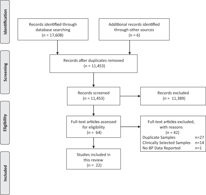 Bloodpressureuk Org Chart