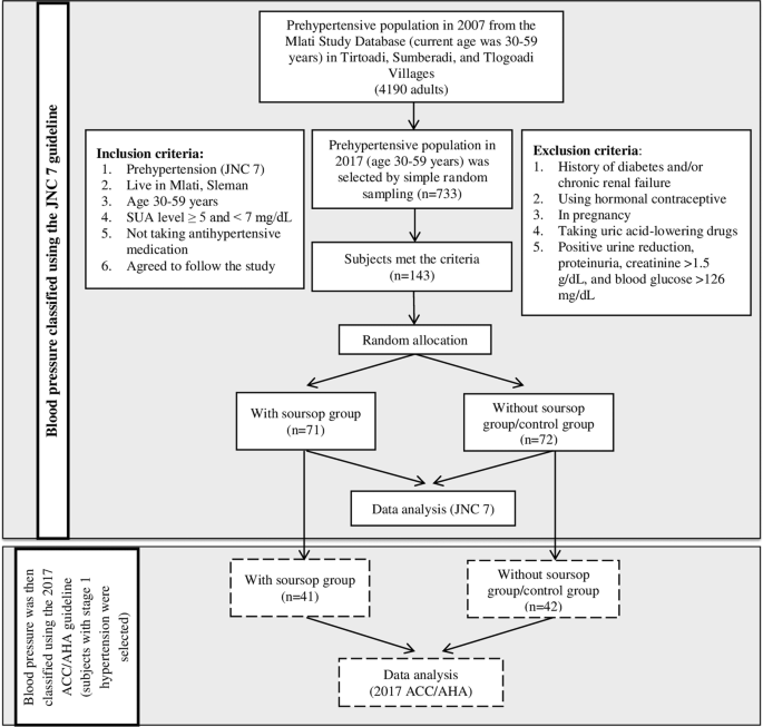The Effects Of Soursop Supplementation On Blood Pressure Serum Uric Acid And Kidney Function In A Prehypertensive Population In Accordance With The 17 Acc Aha Guideline Journal Of Human Hypertension The Effects Of Soursop Supplementation On Blood Pressure Serum Uric Acid And Kidney Function In A Prehypertensive Population In Accordance With The 17 Acc Aha Guideline Journal Of Human Hypertension