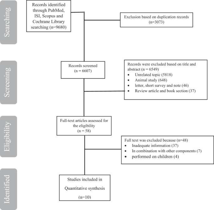 Effects Of L Carnitine Supplementation On Blood Pressure A Systematic Review And Meta Analysis Of Randomized Controlled Trials Journal Of Human Hypertension,Citric Acid Cycle Steps
