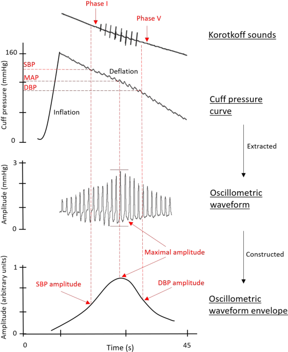 Blood pressure and its variability: classic and novel measurement  techniques