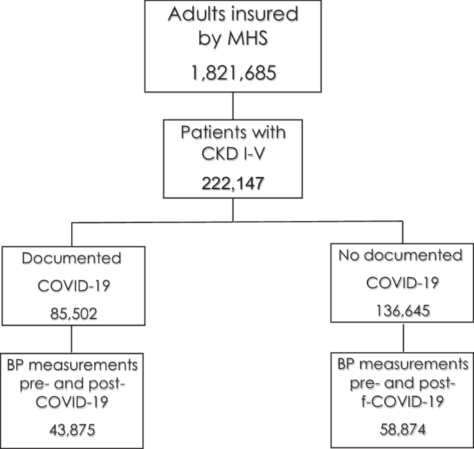 Infection with COVID-19 does not increase blood pressure in patients with chronic kidney disease