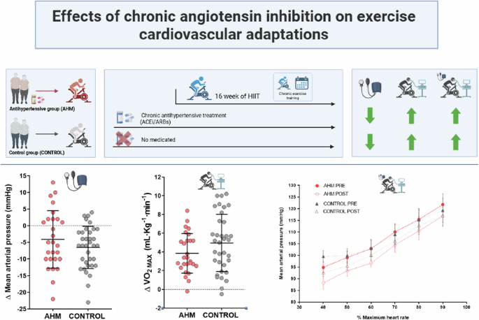 Effect of chronic angiotensin system inhibitor treatment on cardiovascular adaptations to exercise training in adults with metabolic syndrome