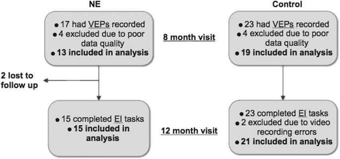 Preserved speed of processing and memory in infants with a history of moderate neonatal encephalopathy treated with therapeutic hypothermia