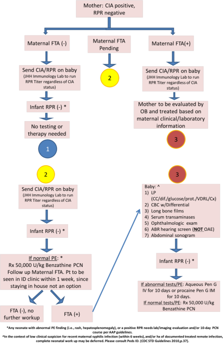 Frontiers  Identification and Functional Assessment of the First Placental  Adhesin of Treponema pallidum That May Play Critical Role in Congenital  Syphilis