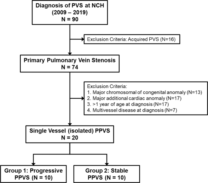 Primary Pulmonary Vein Stenosis Among Premature Infants With Single Vessel Disease Journal Of Perinatology
