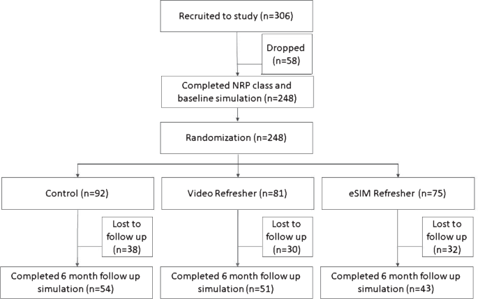 Impact of virtual simulation vs. Video refresher training on nrp simulation performance: a randomized controlled trial
