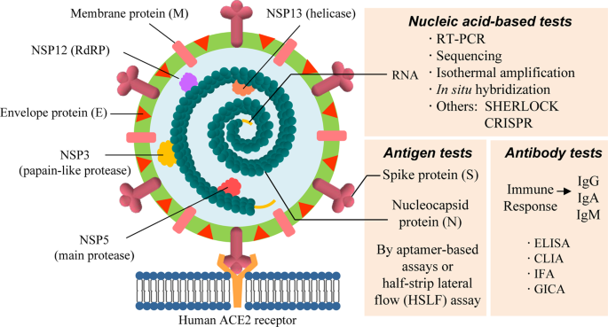 Advancements in detection of S...