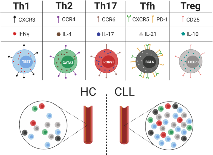 T-cells in chronic lymphocytic leukemia: Guardians or drivers of disease? |  Leukemia