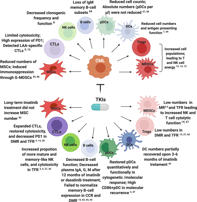 Improving Outcomes In Chronic Myeloid Leukemia Through Harnessing The Immunological Landscape Leukemia