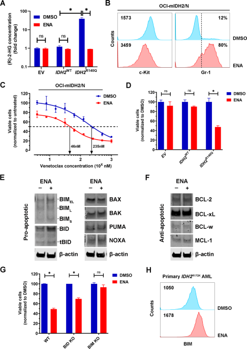 Enasidenib-induced differentiation promotes sensitivity to venetoclax in IDH2-mutated acute myeloid leukemia