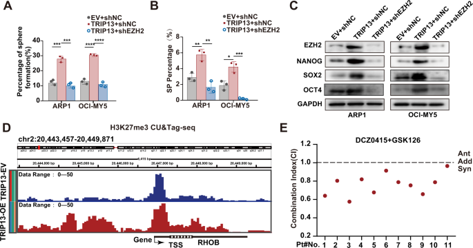 Aberrant activation of TRIP13-EZH2 signaling axis promotes stemness and  therapy resistance in multiple myeloma