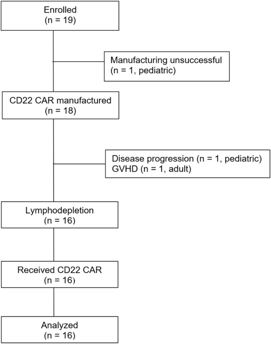 CD22 CAR T cells demonstrate high response rates and safety in pediatric and adult B-ALL: Phase 1b results - Leukemia