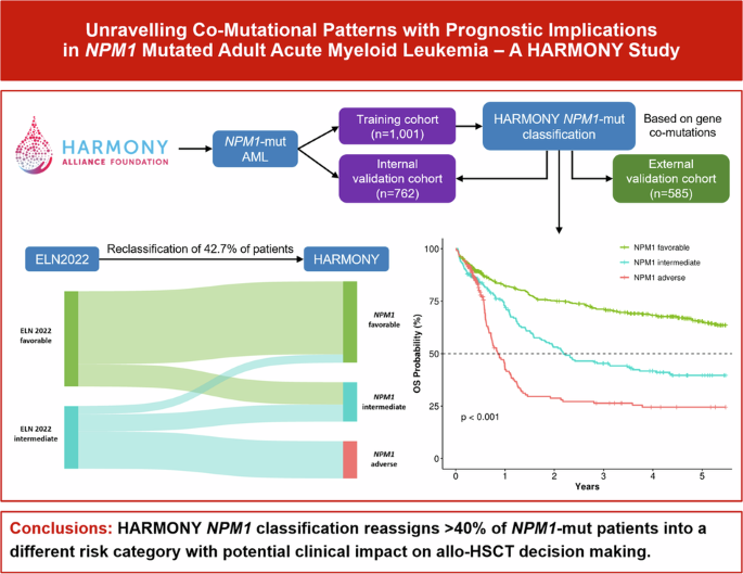 Unravelling co-mutational patterns with prognostic implications in NPM1 mutated adult acute myeloid leukemia – a HARMONY study - Leukemia