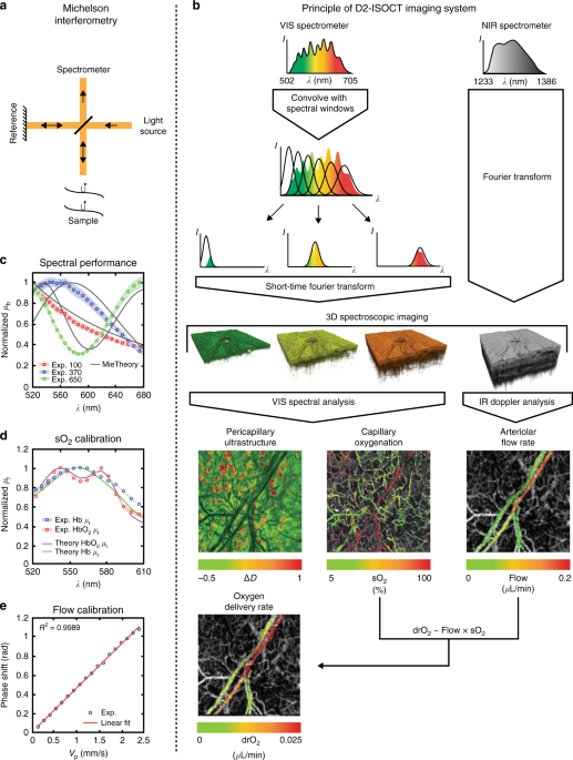 Single capillary oximetry and tissue ultrastructural sensing by dual-band dual-scan inverse spectroscopic optical coherence tomography