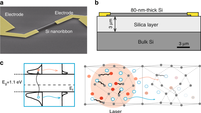Giant photothermoelectric effect in silicon nanoribbon photodetectors