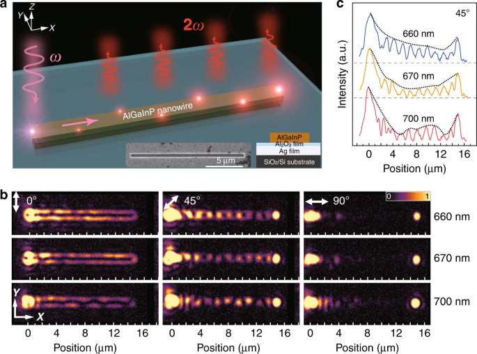 Direct visualization of phase-matched efficient second harmonic and  broadband sum frequency generation in hybrid plasmonic nanostructures |  Light: Science & Applications