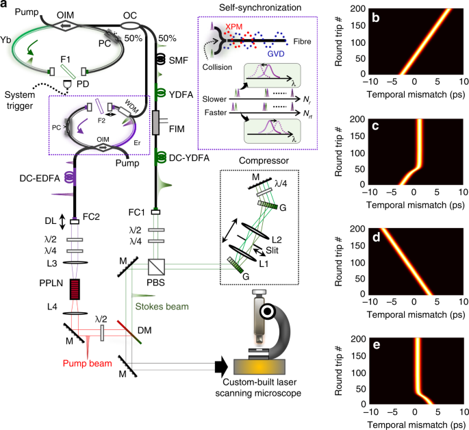 High Contrast Fast Chemical Imaging By Coherent Raman Scattering Using A Self Synchronized Two Colour Fibre Laser Light Science Applications