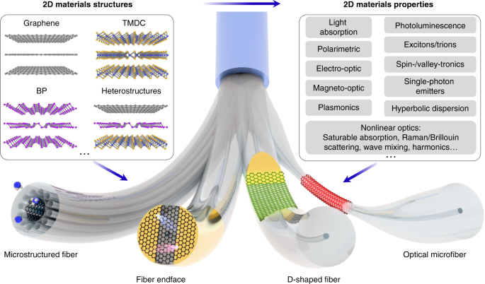 Silica Optical Fiber Integrated With Two Dimensional Materials Towards Opto Electro Mechanical Technology Light Science Applications
