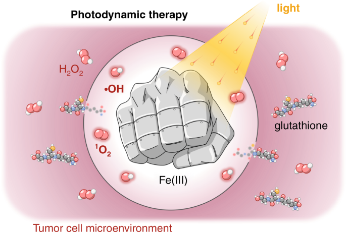 iron and glutathione together Role of GSH and Iron-Sulfur Glutaredoxins in Iron Metabolism—Review main image 1