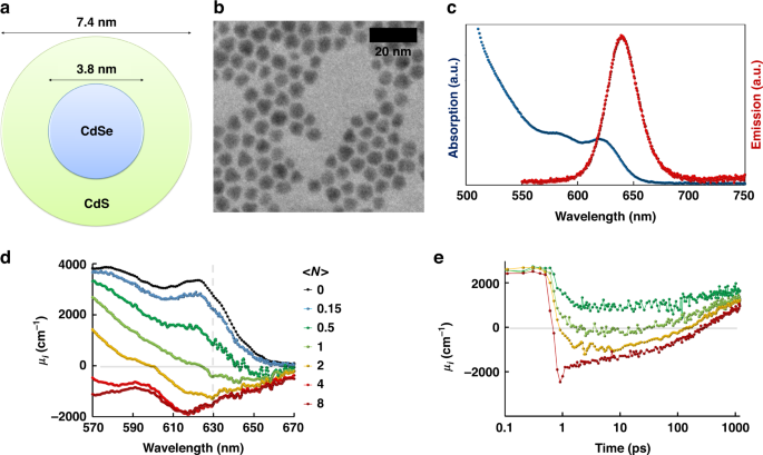 Light-Generating CdSe/CdS Colloidal Quantum Dot-Doped Plastic Optical  Fibers