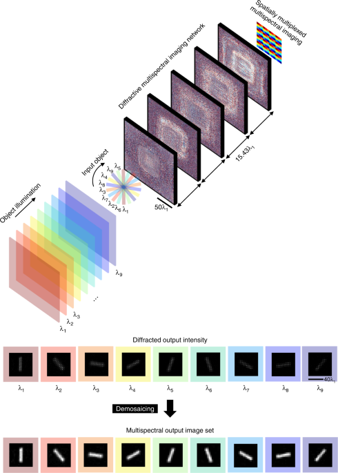 Snapshot multispectral imaging using a diffractive optical network | Light:  Science & Applications
