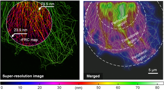 rFRC paper preview