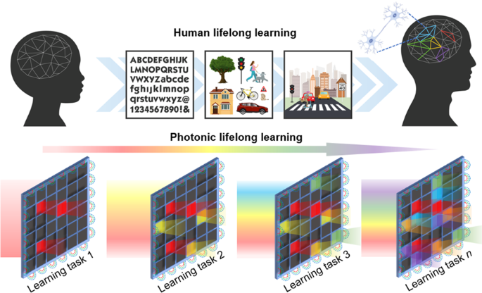 Photonic neuromorphic architecture for tens-of-task lifelong learning