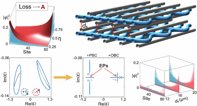 Coupled non-Hermitian skin effect with exceptional points | Light ...
