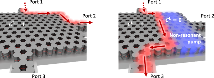 Dynamically reconfigurable topological routing in nonlinear photonic ...