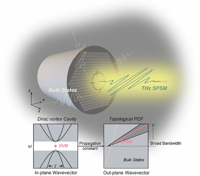 Experimental observation of topological Dirac vortex mode in terahertz photonic crystal fibers - Light: Science & Applications