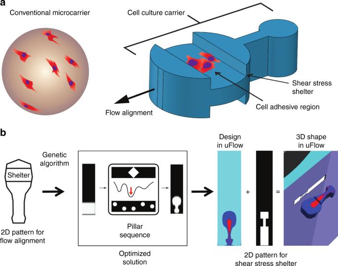 Shaped 3D microcarriers for adherent cell culture and analysis |  Microsystems & Nanoengineering