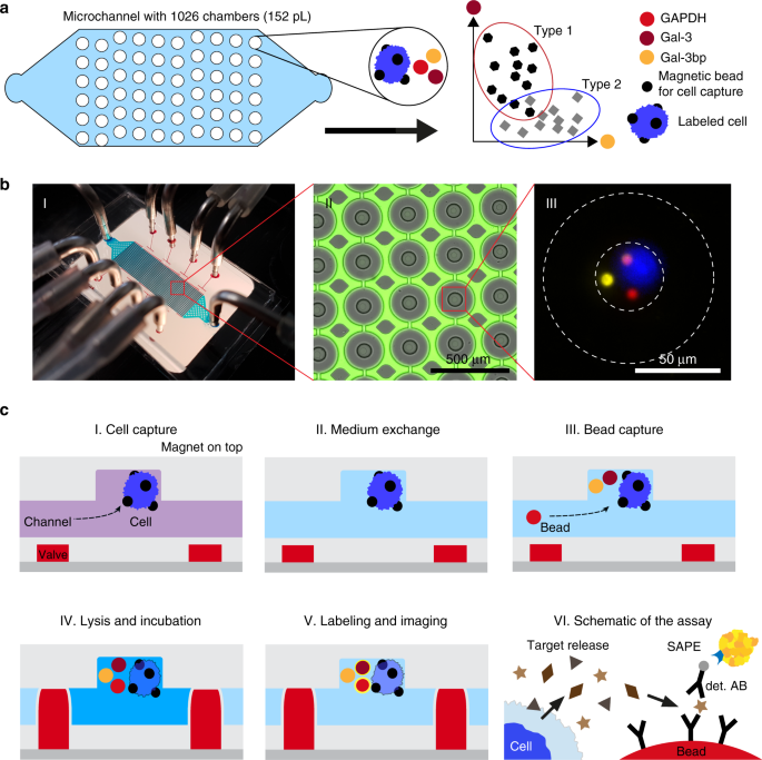 Single-cell protein profiling in microchambers with barcoded beads |  Microsystems & Nanoengineering