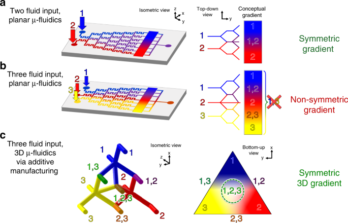 3D microfluidic gradient generator for combination antimicrobial  susceptibility testing | Microsystems & Nanoengineering