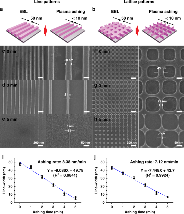 hybrid gold dna nanowire circuit with