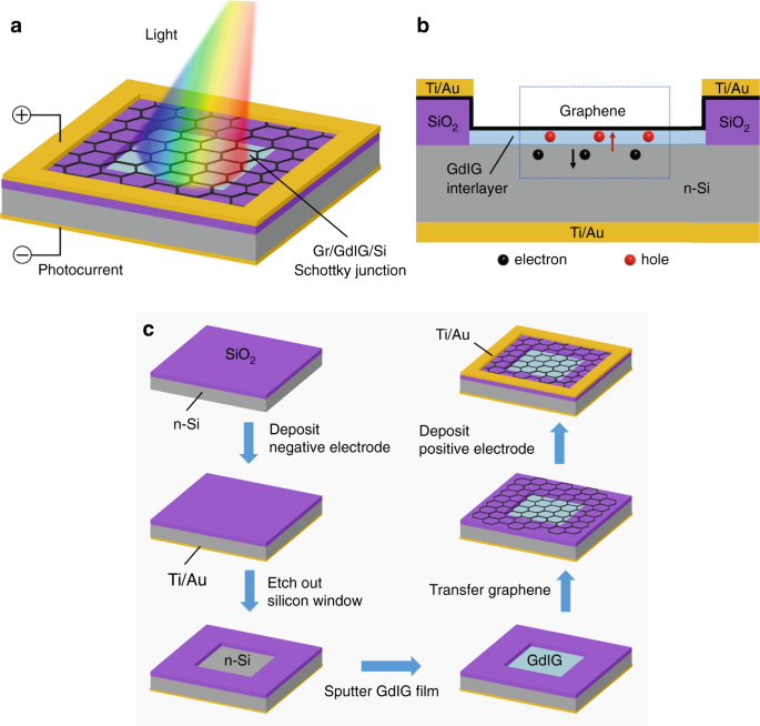 High-performance photodetector based on an interface engineering-assisted  graphene/silicon Schottky junction | Microsystems & Nanoengineering