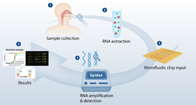 Modular micro-PCR system for the onsite rapid diagnosis of COVID ...