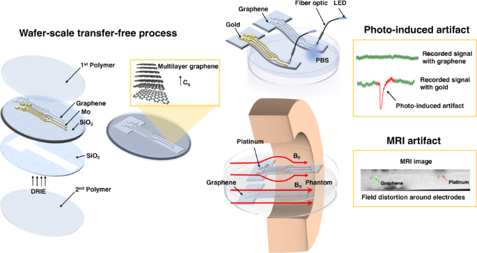 https://media.springernature.com/m685/springer-static/image/art%3A10.1038%2Fs41378-022-00430-x/MediaObjects/41378_2022_430_Figa_HTML.png