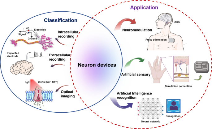 Newly invented electrical stimulation (ES) device improves nerve