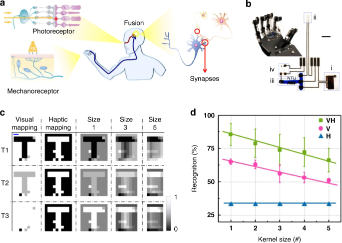 Recent progress in three-terminal artificial synapses based on 2D
