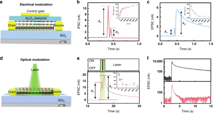 Recent progress in three-terminal artificial synapses based on 2D