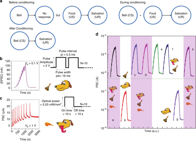 Recent progress in three-terminal artificial synapses based on 2D