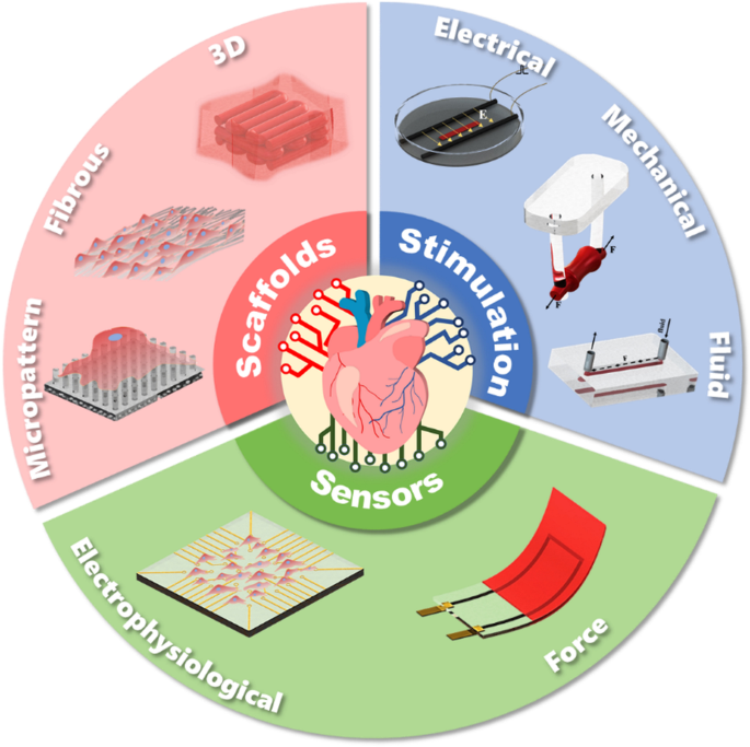 Architecture design and advanced manufacturing of heart-on-a-chip 