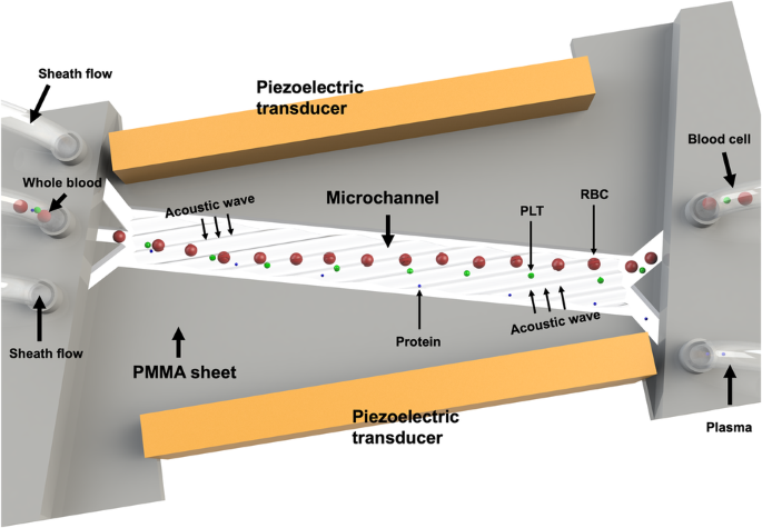 An acoustofluidic device for the automated separation of platelet 