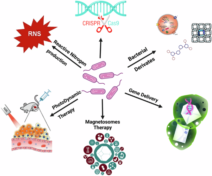 Bacterial nanotechnology as a paradigm in targeted cancer therapeutic ...