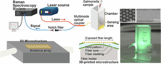 Fiber optics-based surface enhanced Raman Spectroscopy sensors for ...