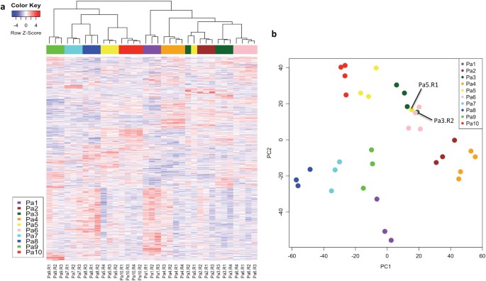 Multiregion Gene Expression Profiling Reveals Heterogeneity