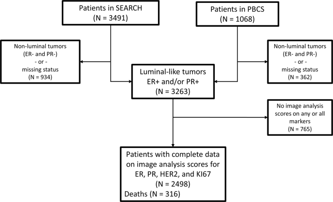 Combined quantitative measures of ER, PR, HER2, and KI67 provide more  prognostic information than categorical combinations in luminal breast  cancer | Modern Pathology