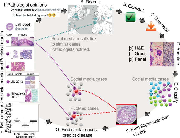 Multimodal medical AI – Google Research Blog